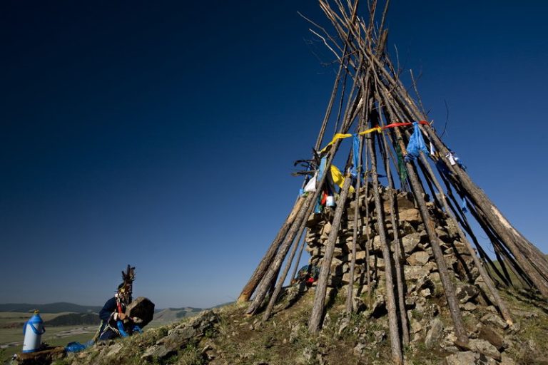 The shaman who wanted to be a politician (2008)