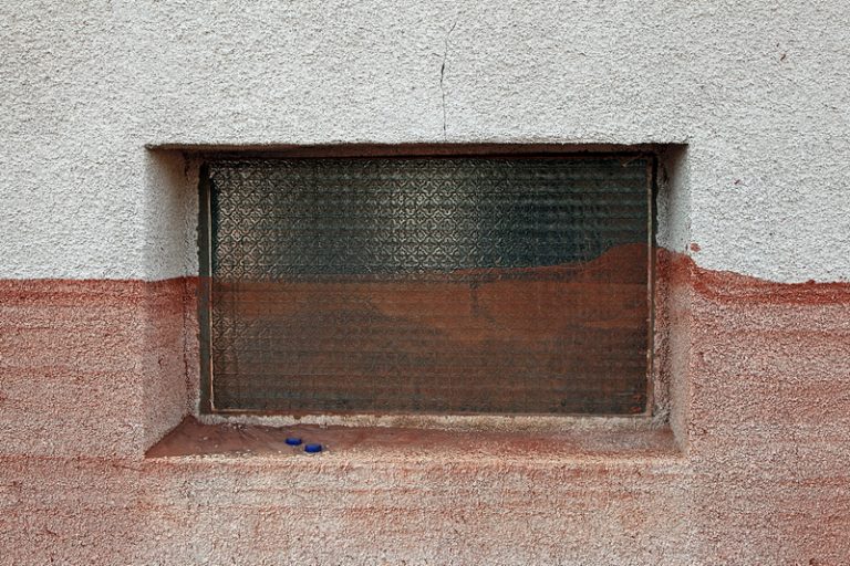 Thick red line (2010)