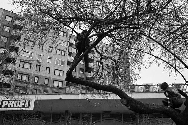 Concrete youngsters (2004-2009)